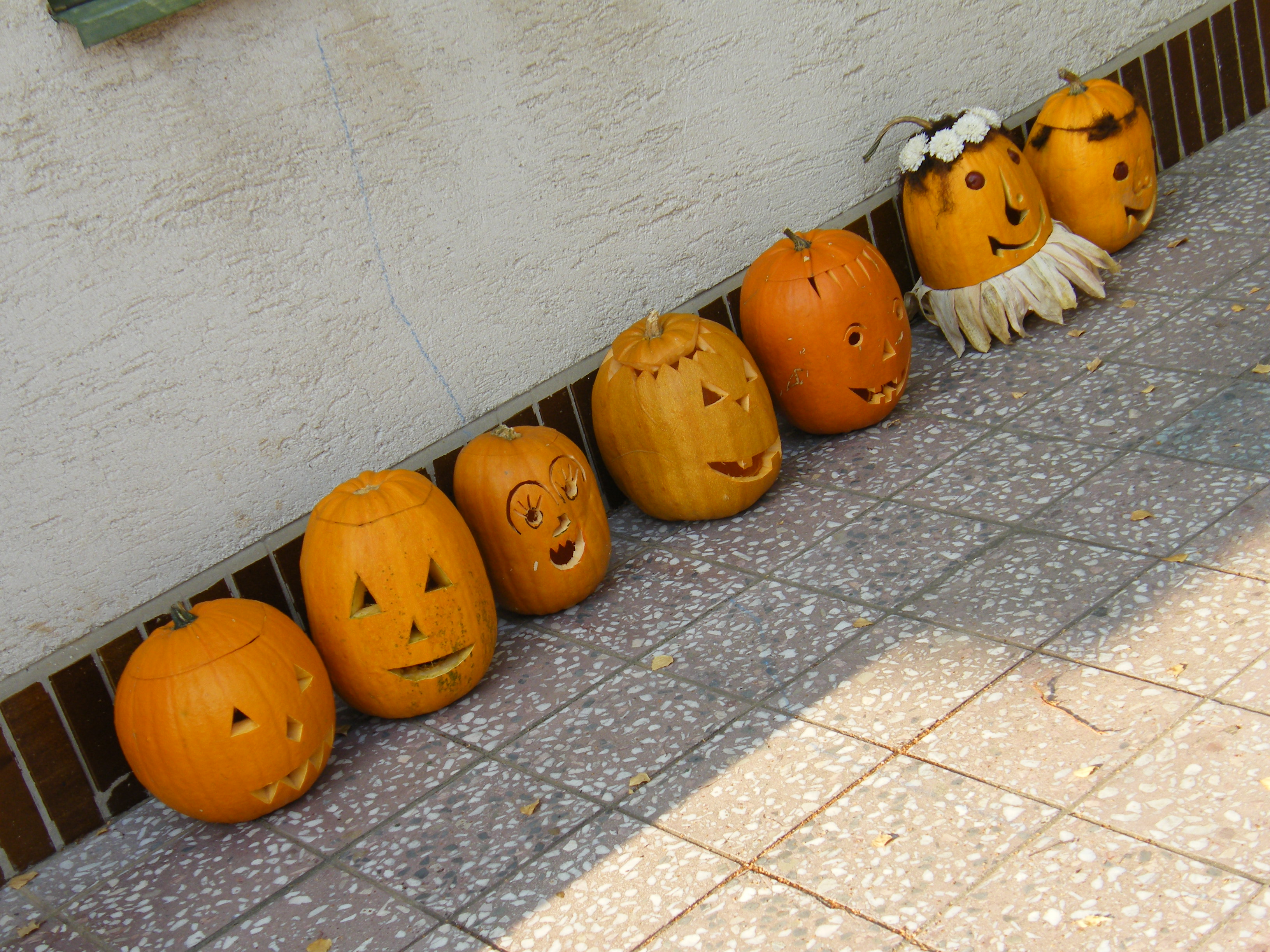 DSCF4493.JPG